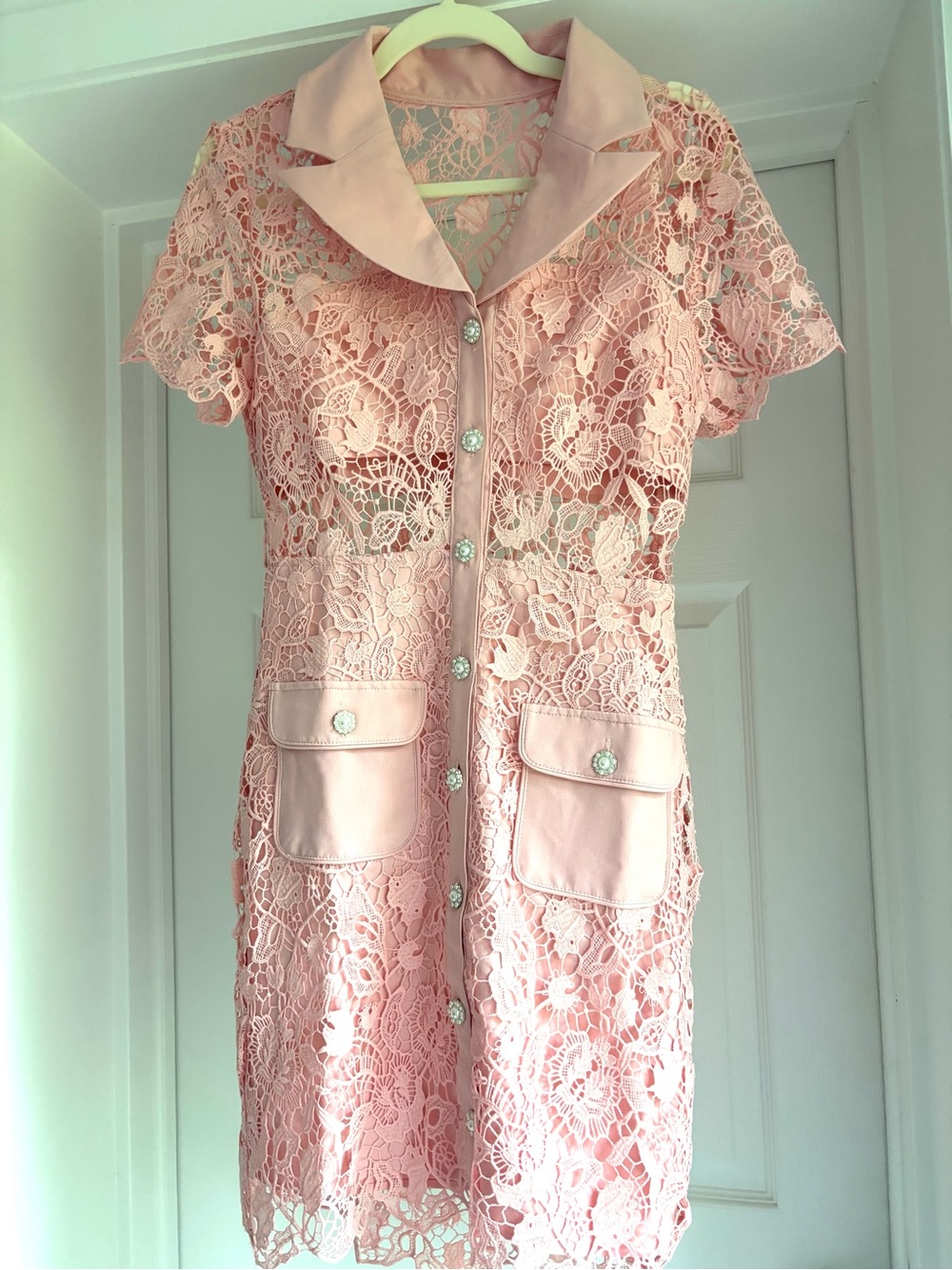 Delicate Pink Lace Button-Front Dress NWT